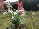 fruehling_DSC02704.JPG
