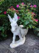 fruehling_DSC04915.JPG