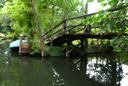 fruehling_DSC_0052.jpg