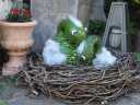 herbst_DSC04962.JPG
