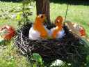 herbst_DSC04963.JPG