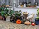 herbst_DSC04981.JPG