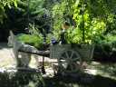 sommer_DSC04936.JPG