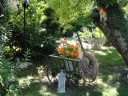sommer_DSC04944.JPG