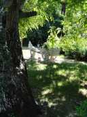 sommer_DSC04948.JPG