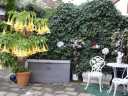 sommer_DSC04993.JPG