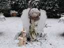 winter_DSC05023.JPG